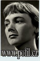 PŘEDNÍ