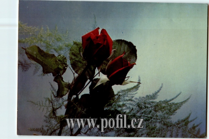 Zav��t okno