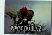 P�EDN�