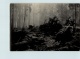 INFO