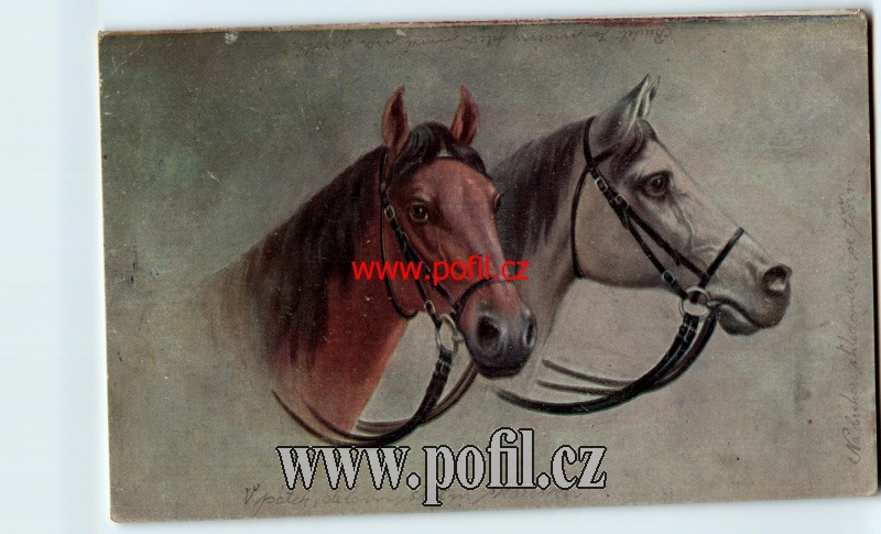 Zav��t okno