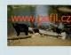 INFO