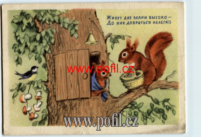 Zav��t okno