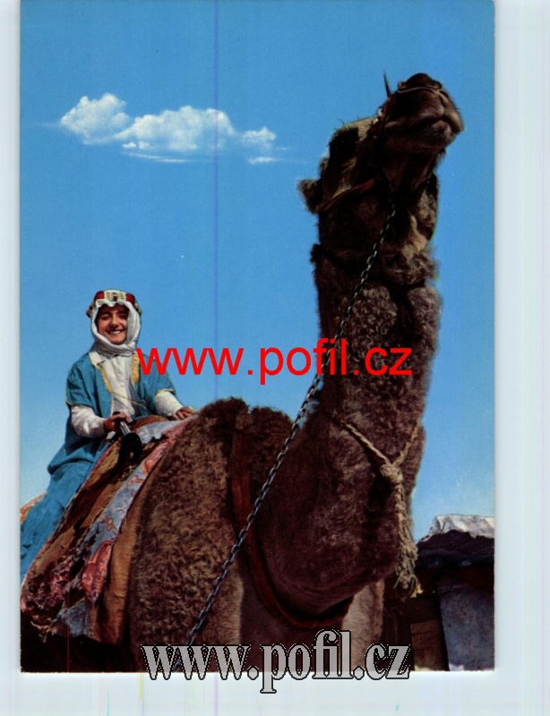 Zav��t okno