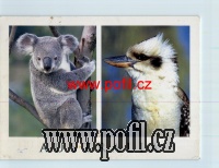 PŘEDNÍ