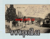 P�EDN�