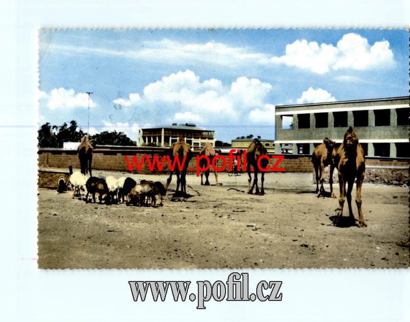 Zav��t okno