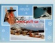 INFO
