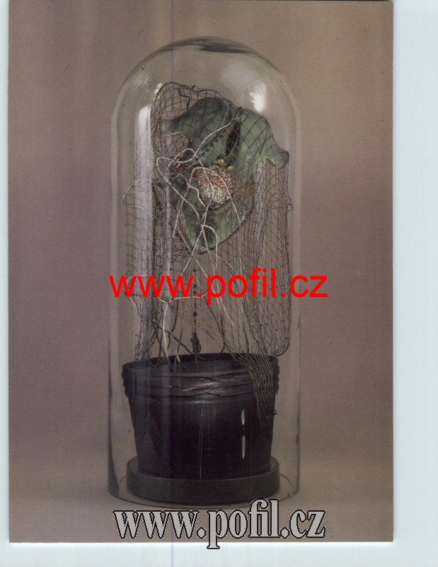 Zav��t okno