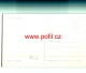 INFO