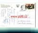 INFO