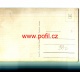 INFO