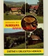 INFO