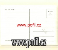 ZADN�