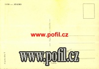 ZADN�