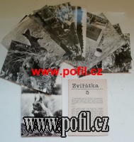 ZADNÍ