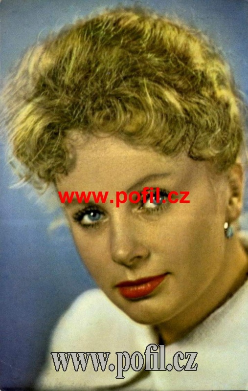 Zav��t okno
