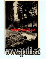 PŘEDNÍ