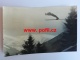 INFO