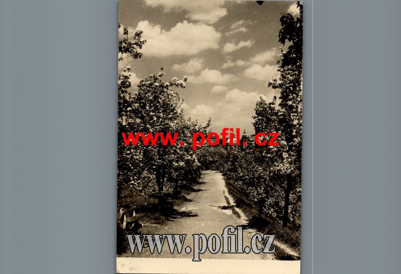 Zav��t okno