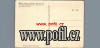ZADN�